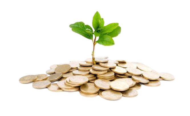 Financial Growth
